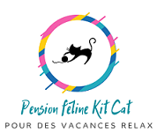 Logo Pension Féline Kit Cat